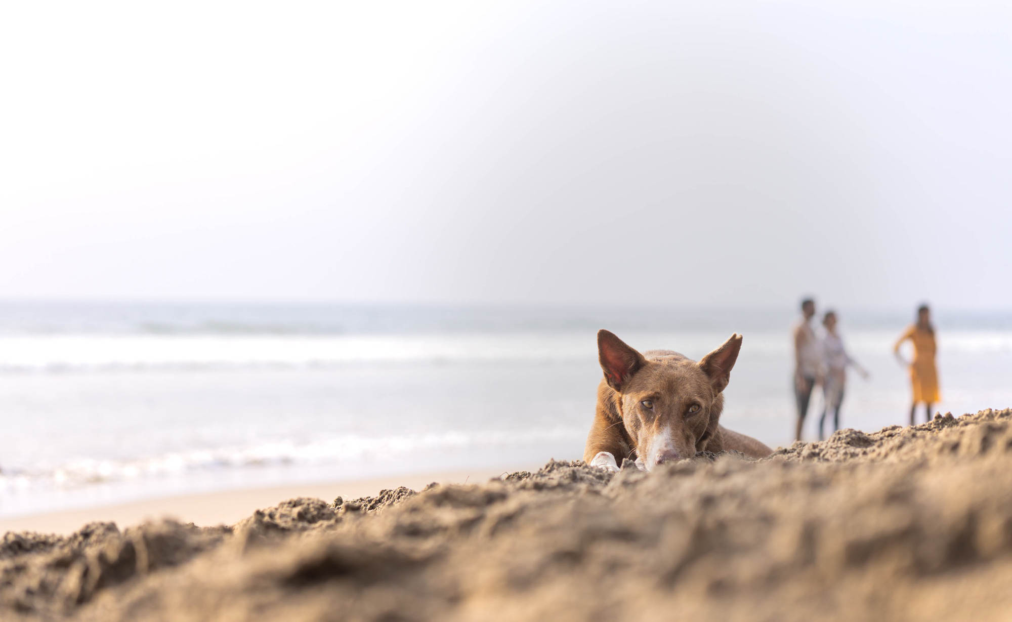 Everyone_loving_their_company