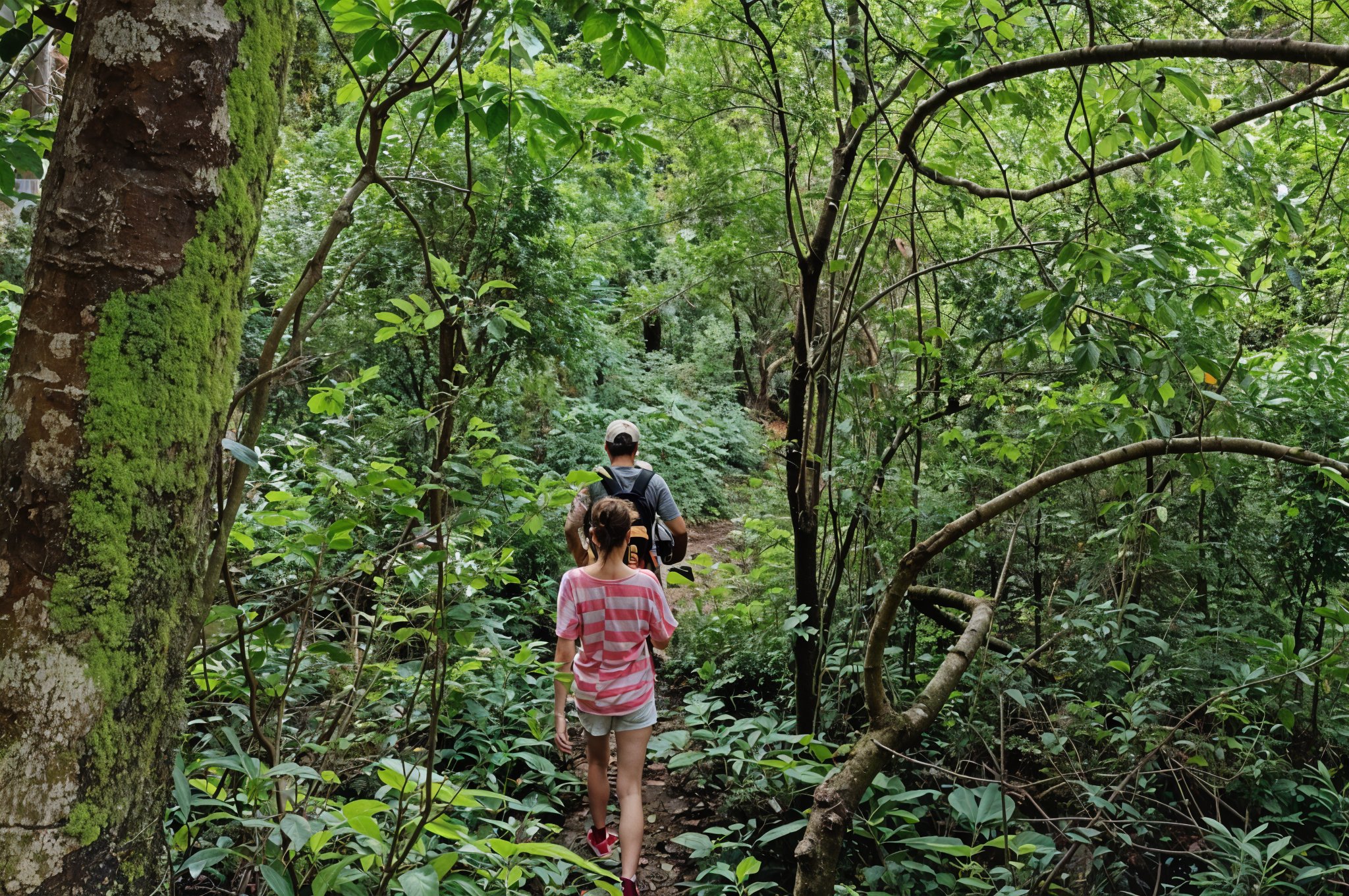 Forest walk in a wildlife sanctuary